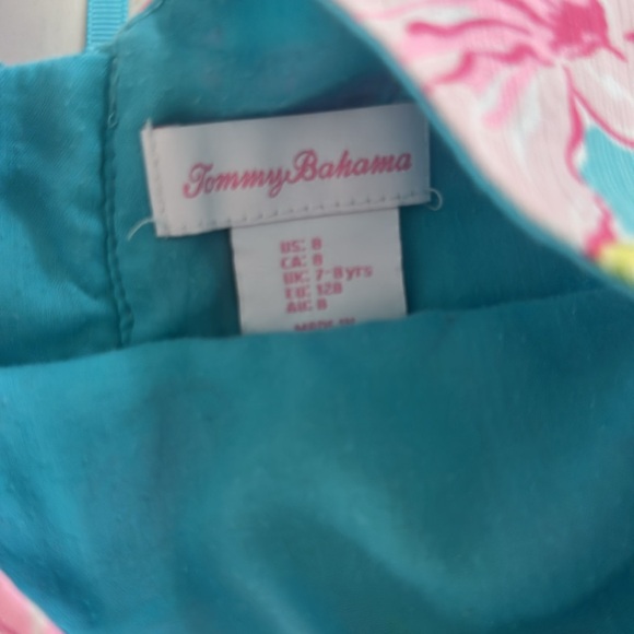 Tommy Bahama Pink and Blue Floral Dresses  (multiple sizes one 7 and one 8) - Picture 7 of 9